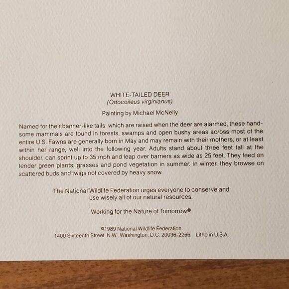 National Wildlife Federation Holiday Cards Christmas WHITE-TAILED DEER Lot Of 10 - Picture 3 of 5